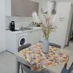 House Lady 泰拉西尼